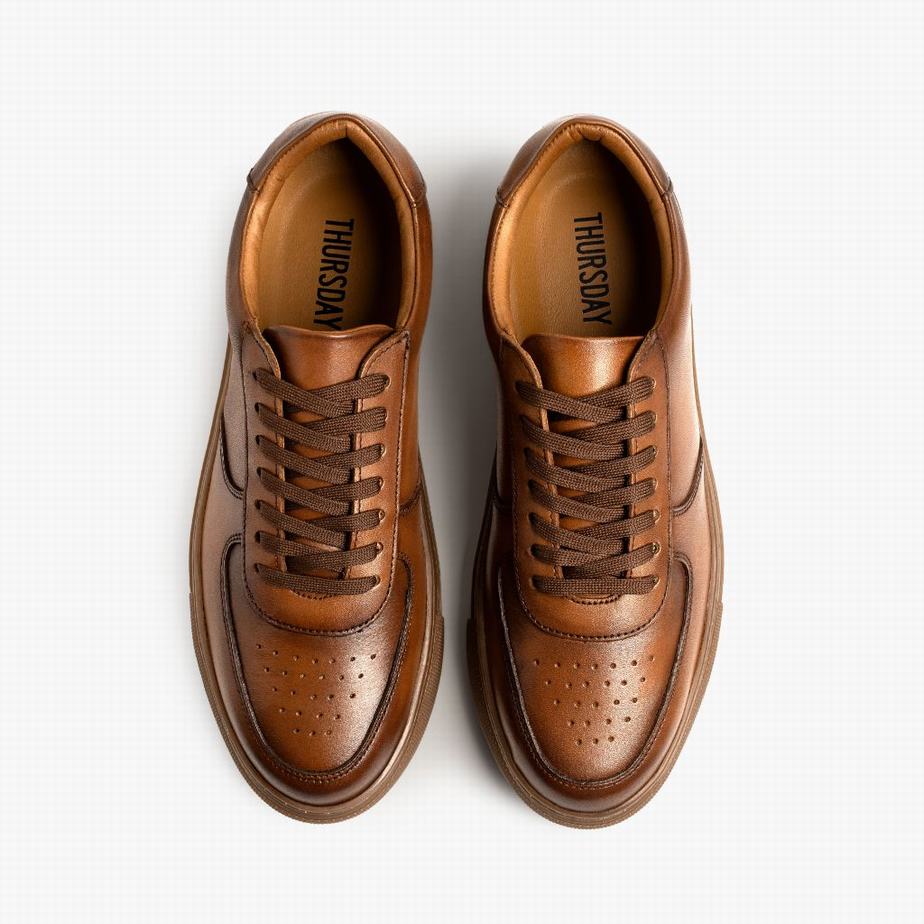 Thursday Boots Court Rövidszárú Tornacipő Férfi Toffee | LYI6667EJ