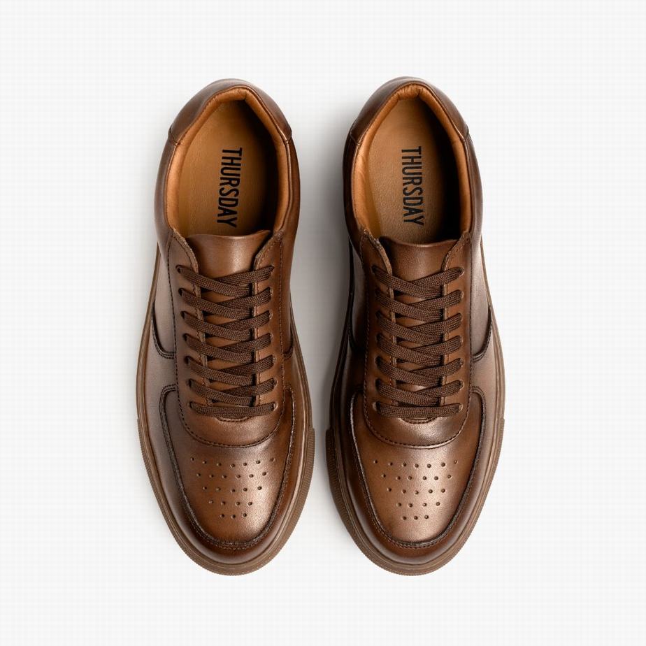 Thursday Boots Court Rövidszárú Tornacipő Férfi Barna | DEE6169ZA