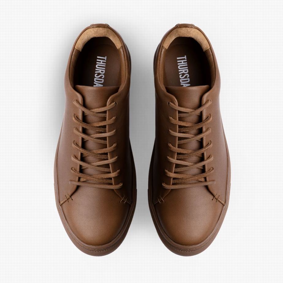 Thursday Boots Premier Rövidszárú Tornacipő Férfi Sötétbarna | EJW722KN